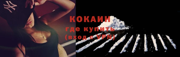 ГАЛЛЮЦИНОГЕННЫЕ ГРИБЫ Коряжма