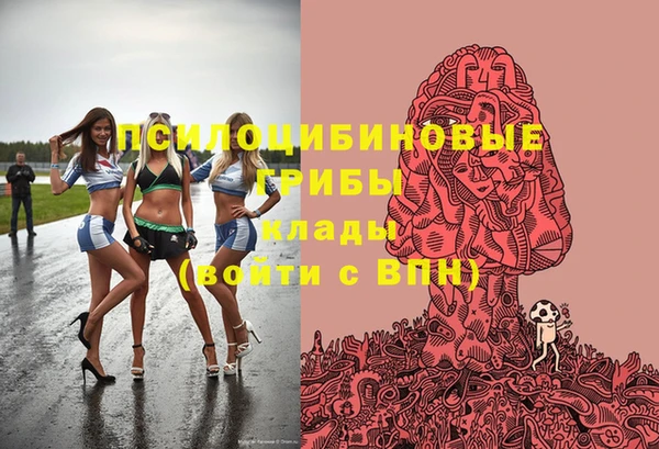 ГАЛЛЮЦИНОГЕННЫЕ ГРИБЫ Коряжма