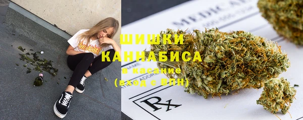 ГАЛЛЮЦИНОГЕННЫЕ ГРИБЫ Коряжма