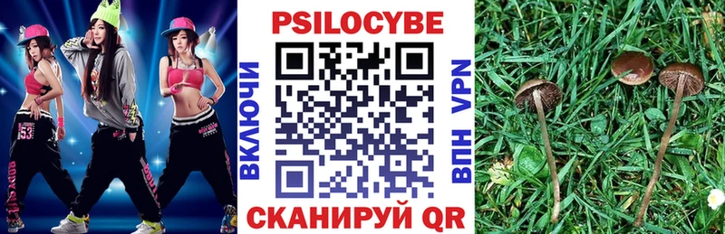 Галлюциногенные грибы Magic Shrooms Купить где Горно-Алтайск